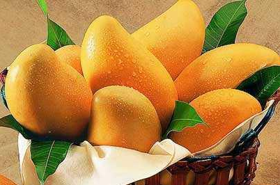 孕期知識：孕媽能不能吃芒果？那要看自己體質適不適合，別隨便吃