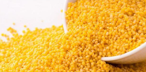 孕期知識：都說孕媽喝小米粥好，怎么好你可能真不知道